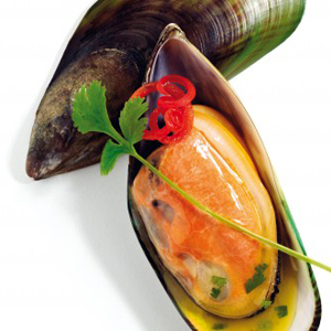 Mosselen Green Shell